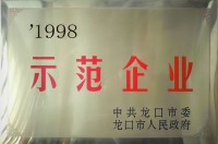 1998年示范企业