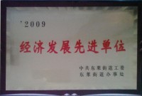 2009年经济发展先进单位