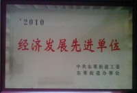 2010年经济发展先进单位