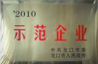 2010年示范企业.JPG